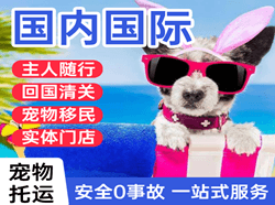 怀化芷江航空物流国际宠物托运 【国